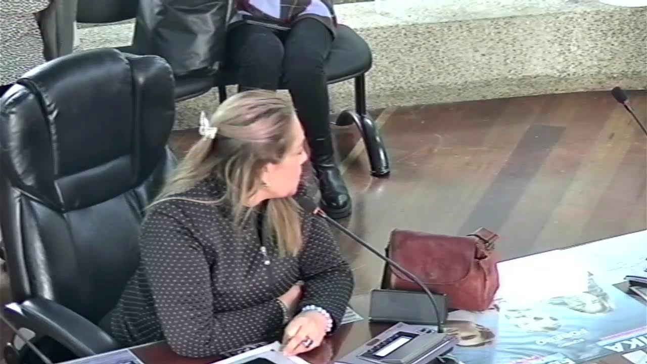 Sesión 26 de enero de 2026 Proyectos Puente Aranda. Edil convocante Andrés Rincón Zuluaga