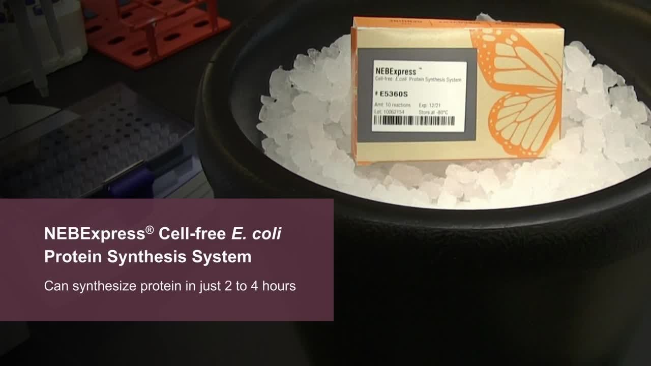Introduction to the NEBExpress&reg; Cell-free Protein Synthesis System