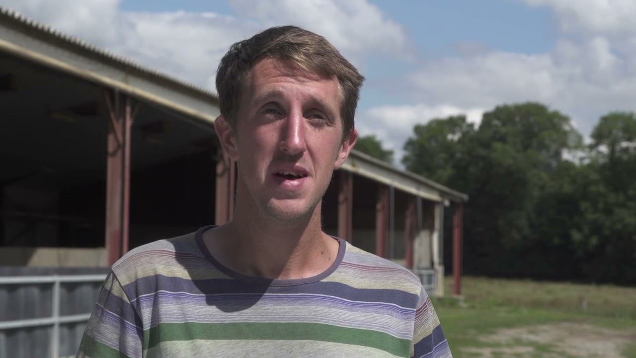 La ferme du Ty Viel : le porc sur paille