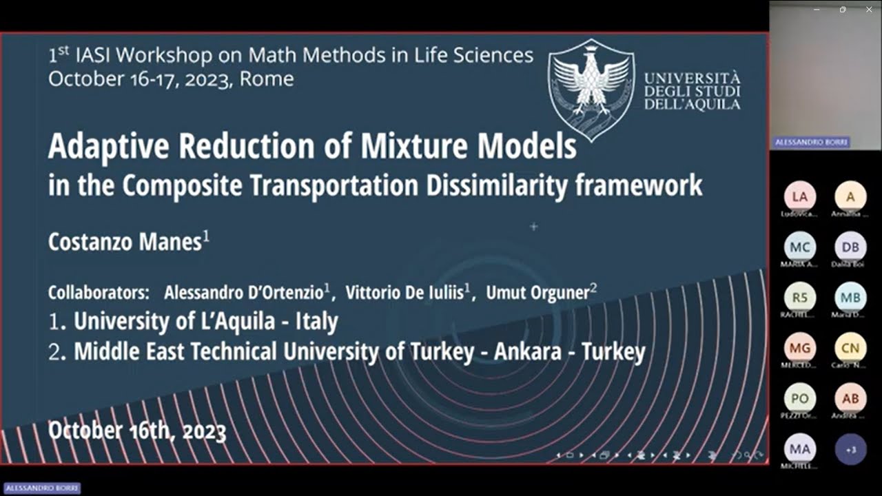 Adaptive Reduction of Mixture Models - 2023 seminar of Prof. Manes