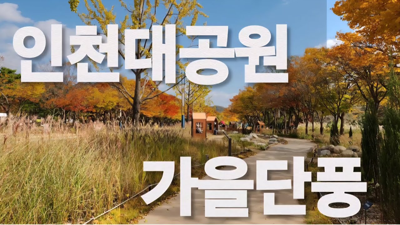 가을단풍 즐기기#인천대공원 단풍#수도권당일치기 #인천가볼만한곳 # 서울근교나들이 #은행나무#힐링하기좋은곳