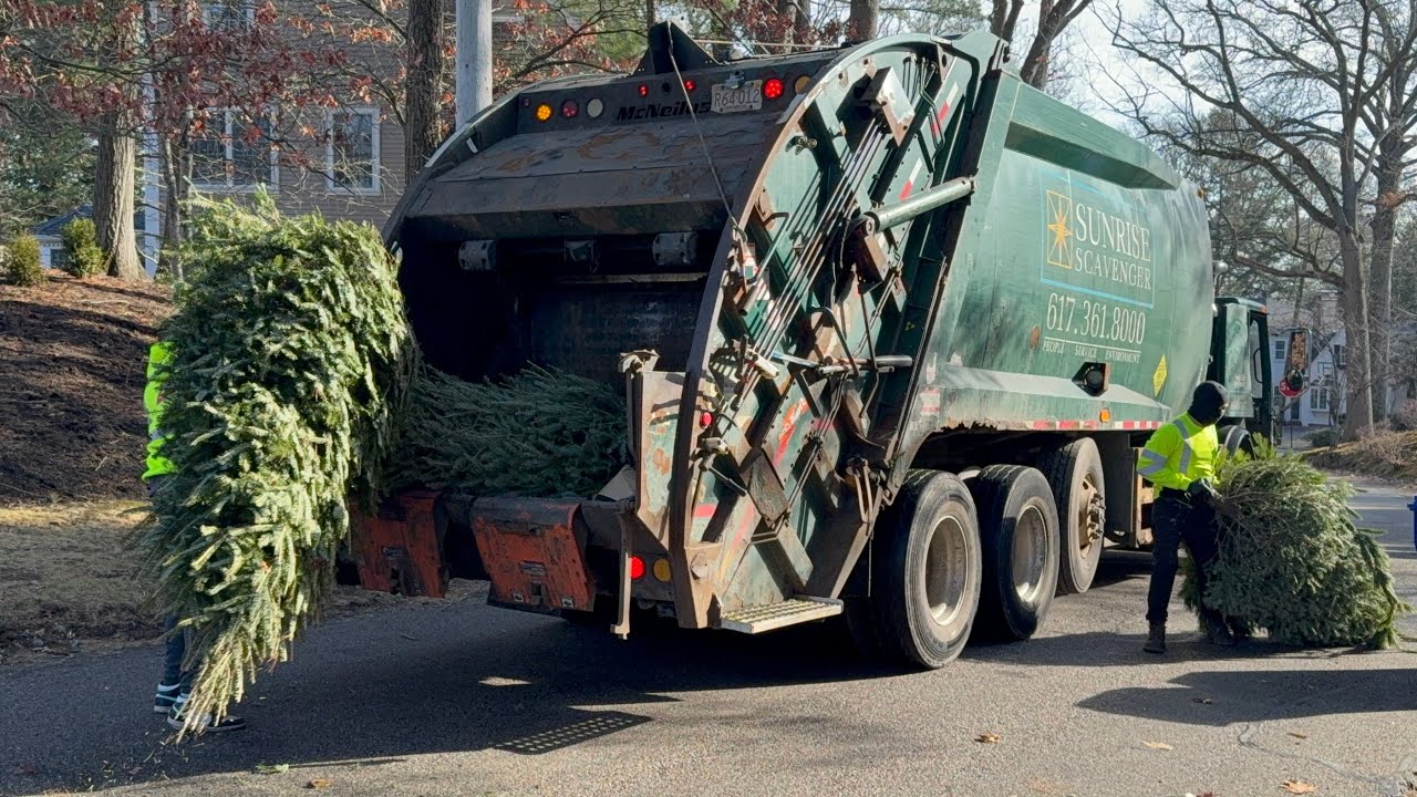 Star Waste Garbage Truck Packing Xmas Trees 