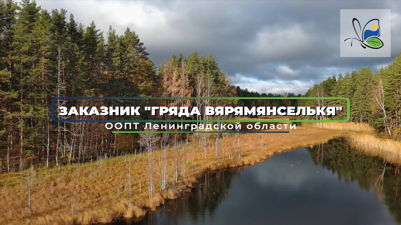 Государственный природный заказник &laquo;Гряда Вярямянселькя&raquo;