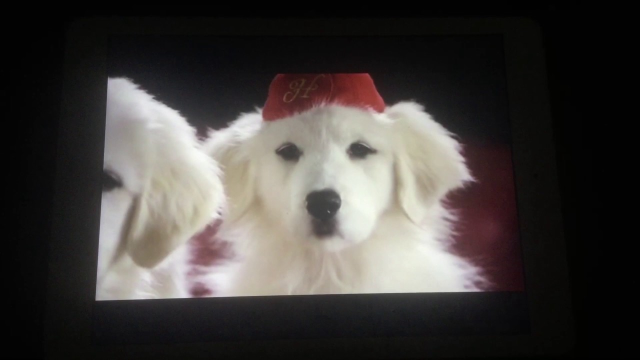 Santa paws 2 santa puppies ending Christmas song.