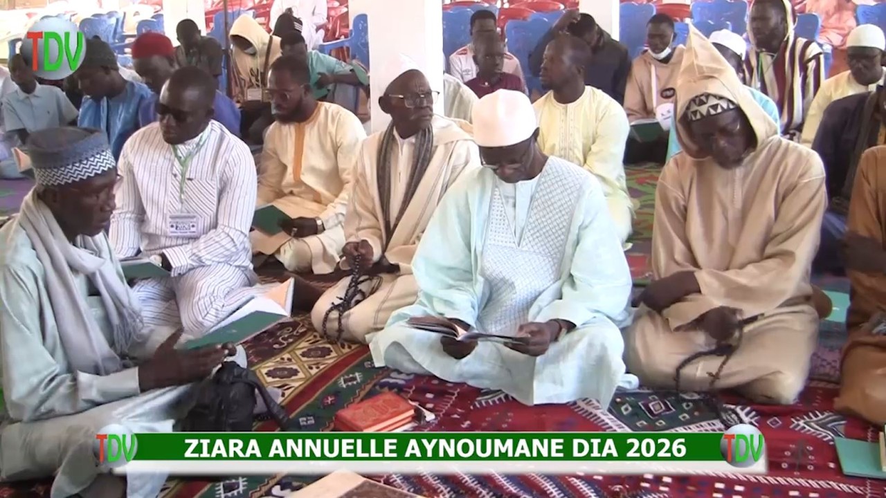 ZIARA AYNOU 2026: Kamil / Chant.....