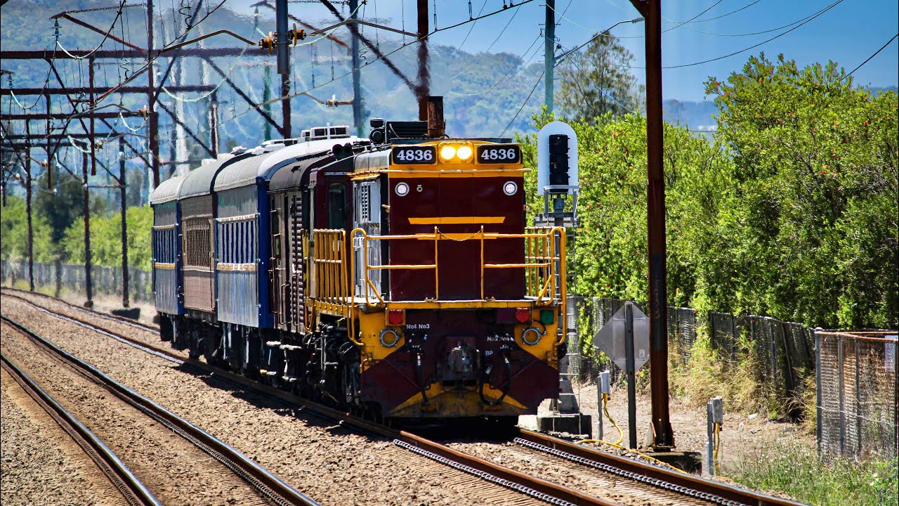 Hot Day Out On The Central Coast | Morrisset, Warnervale, Woy Woy!