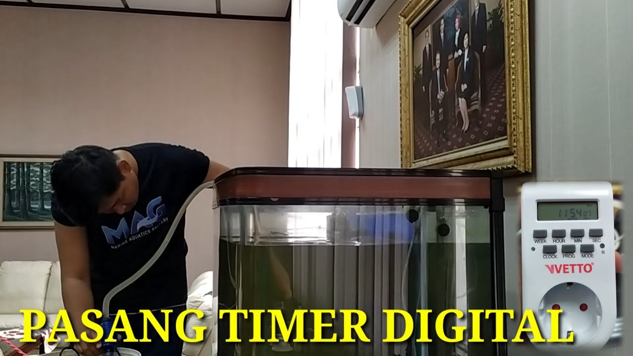 MAINTENANCE RUTIN AQUARIUM LAUT & PASANG TIMER OTOMATIS LAMPU AQUARIUM / TIMER DIGITAL/ TIMER VETTO
