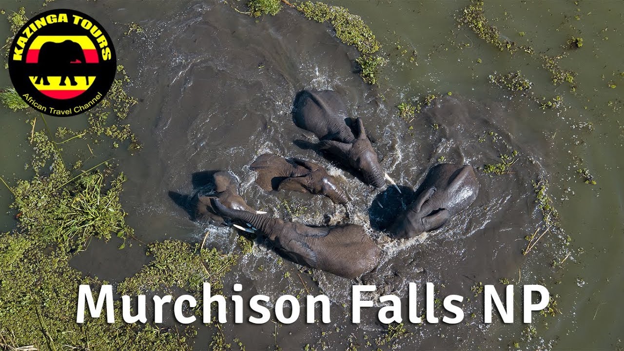 Kazinga Tours – Murchison Falls National Park by drone