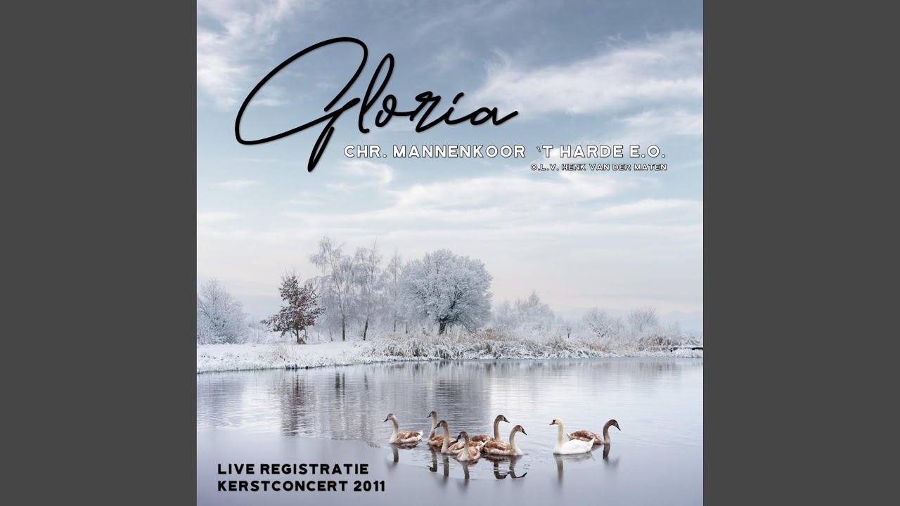 Gloria in Excelsis Deo (Live)