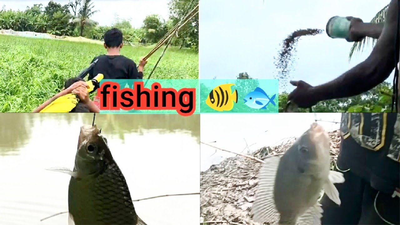 fishing || best fishing  video.