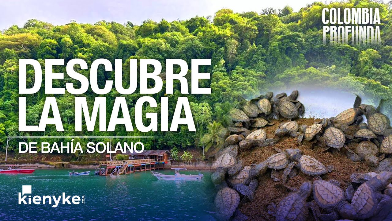 La magia de Bahía Solano: entre el avistamiento de ballenas y la selva tropical