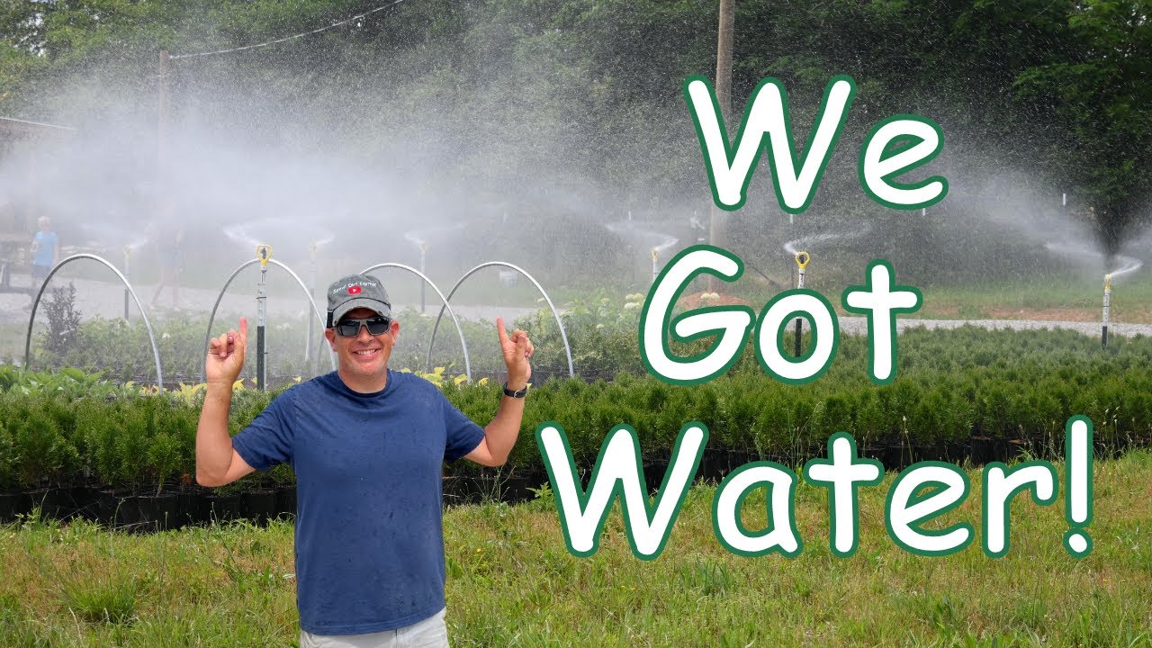 We built irrigation for 10,000 PLANTS!!