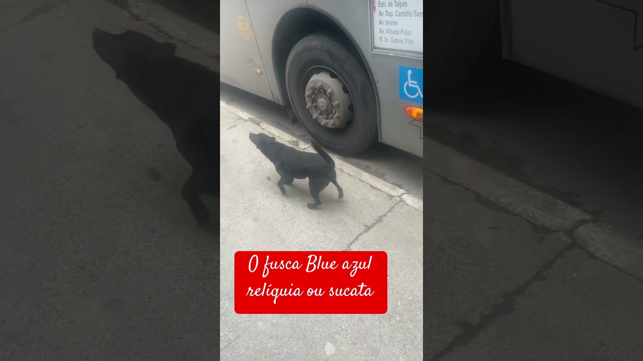 O mecânico motor roncado os parafuso do câmbio entortou martelo chave 🔑 pix crédito ou débito auto