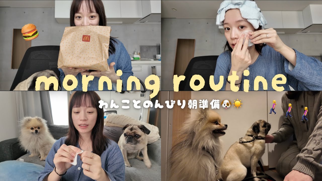 【モーニングルーティン】わんこと一緒にのんびり過ごす朝🐶
