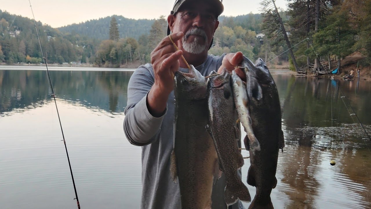 TROUT FISHING ON GREGORY LAKE OCT 26, 2025