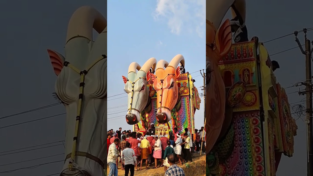 Kulappully തൃപ്പറ്റ പൂരം 2025.Thrippatta പൂരം 2025,  #elephant #kalavela #pooram #aanapooram