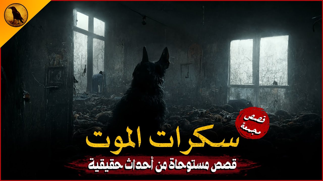 قصص مستوحاة من أحداث حقيقية ومرعبة لمدة ثلاث ساعات من الخوف والفزع ! | الراوي