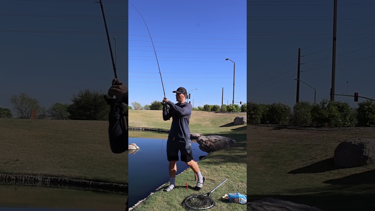 Поимка РЕДКОЙ рыбы 🎣