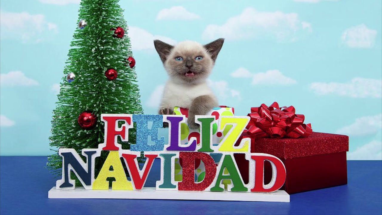 Xmas