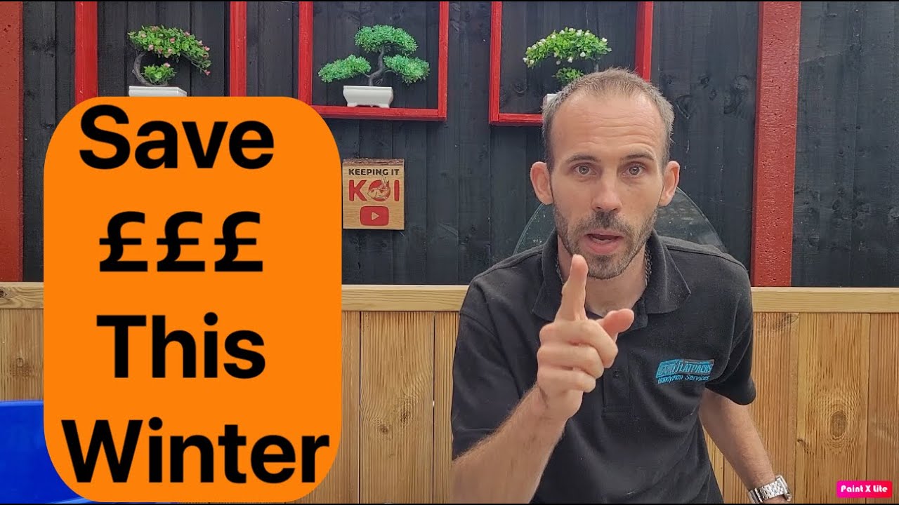 Save Hundreds of Pounds on your Koi Ponds &pound;&pound;&pound; & A Pond Visit 👍🏻