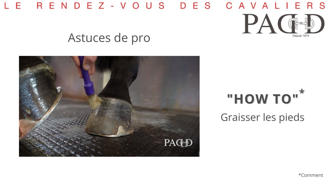 PADD - Astuces de pro : Comment graisser les pieds de son cheval ?