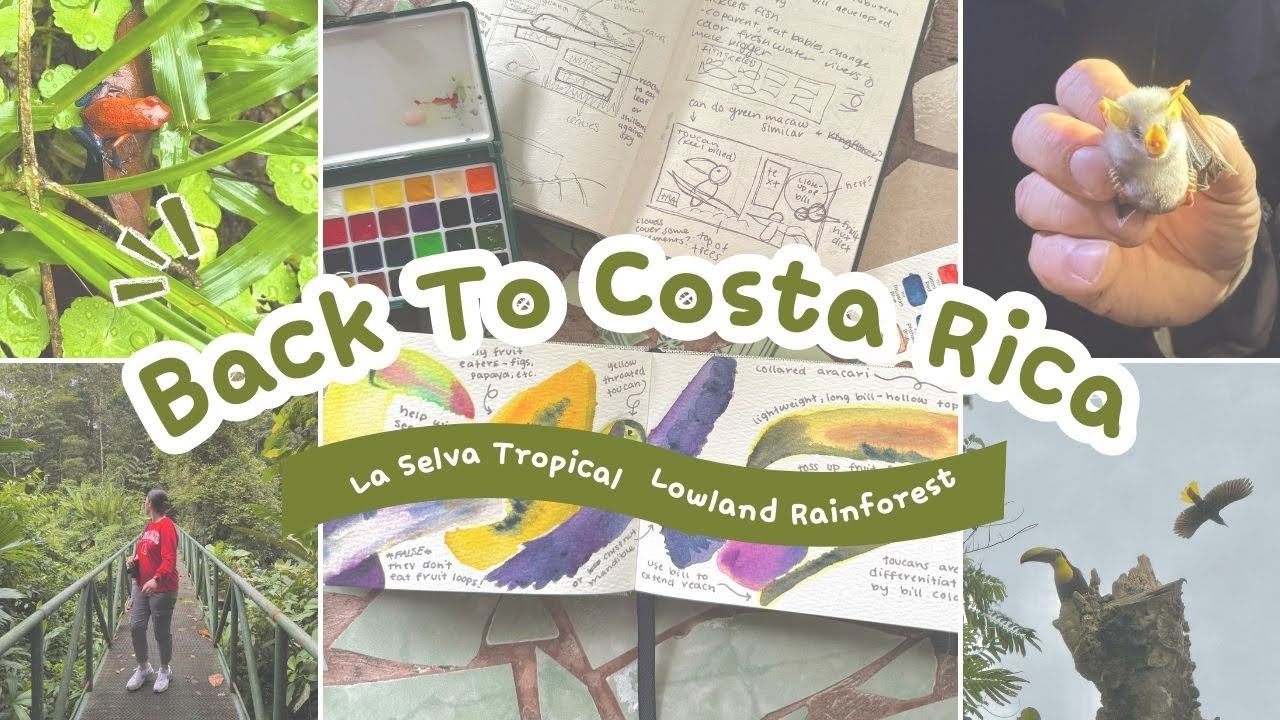 I’m Back In Costa Rica — revisiting la selva tropical rainforest 