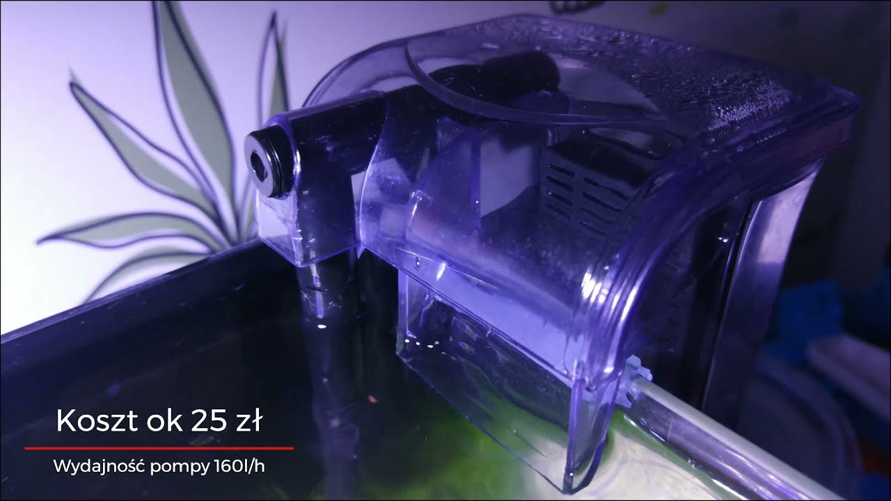 3. Tani filtr kaskadowy. AQUA NOVA NF-300 w nano akwarium