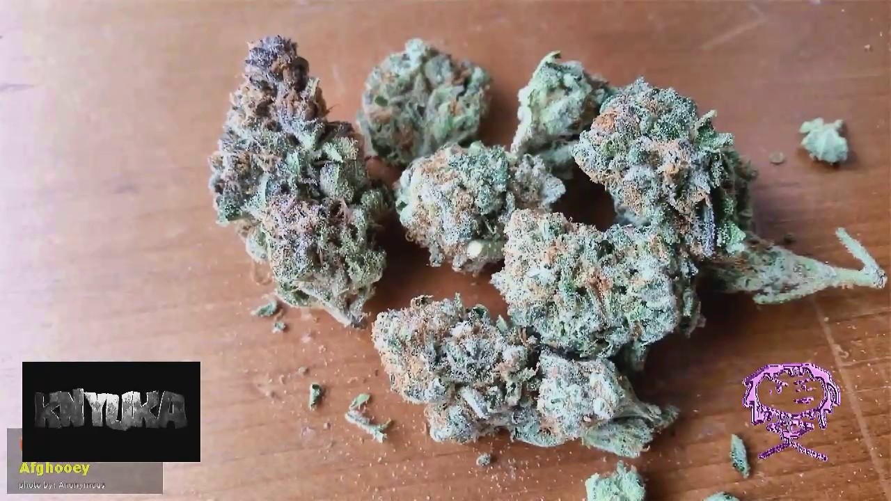 Certified Pothead - Afgoo / Afgooey / Afghooey