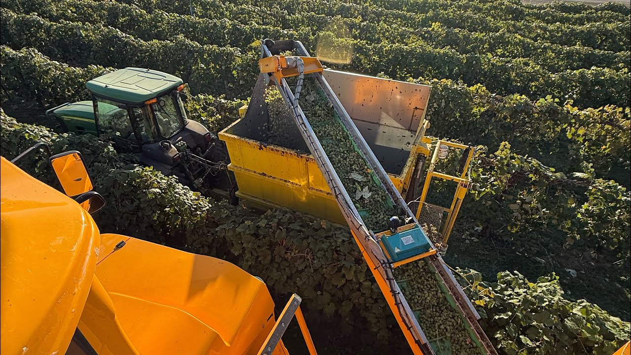 Harvest On The Farm