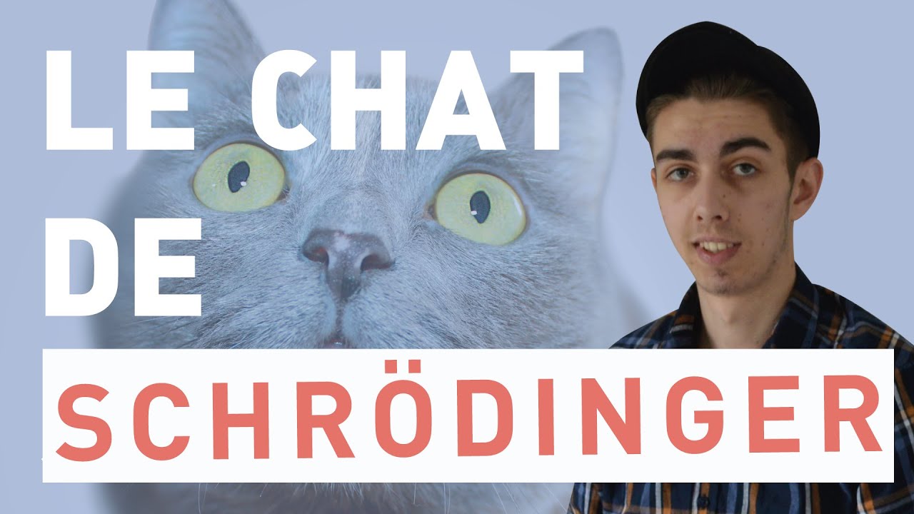LE CHAT DE SCHR&Ouml;DINGER &mdash; SCICOS