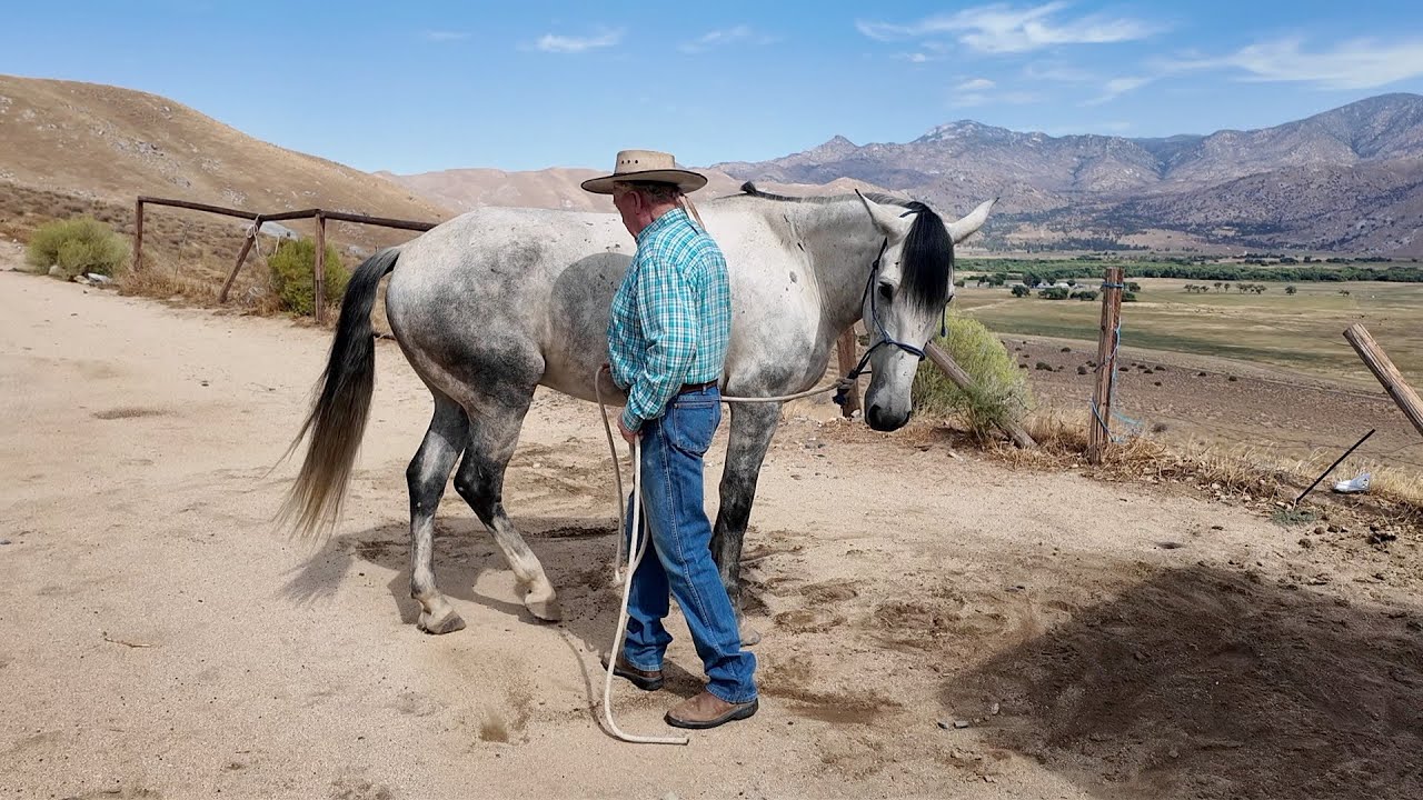 What To Do Before You Get On Your Horse
