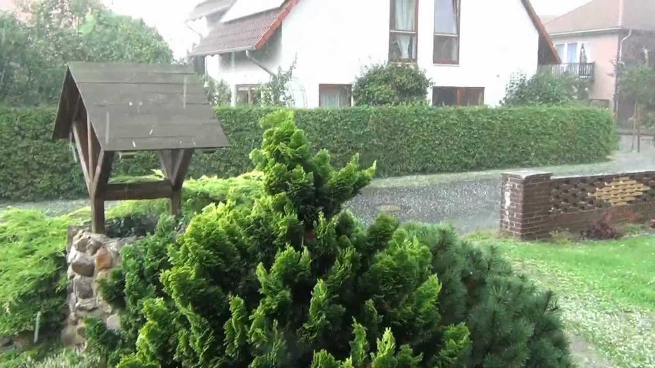 Arpke im Hagelschauer