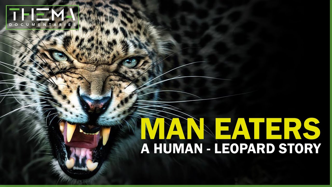The Hidden Reason Behind Leopard Attacks on Humans | True Story!