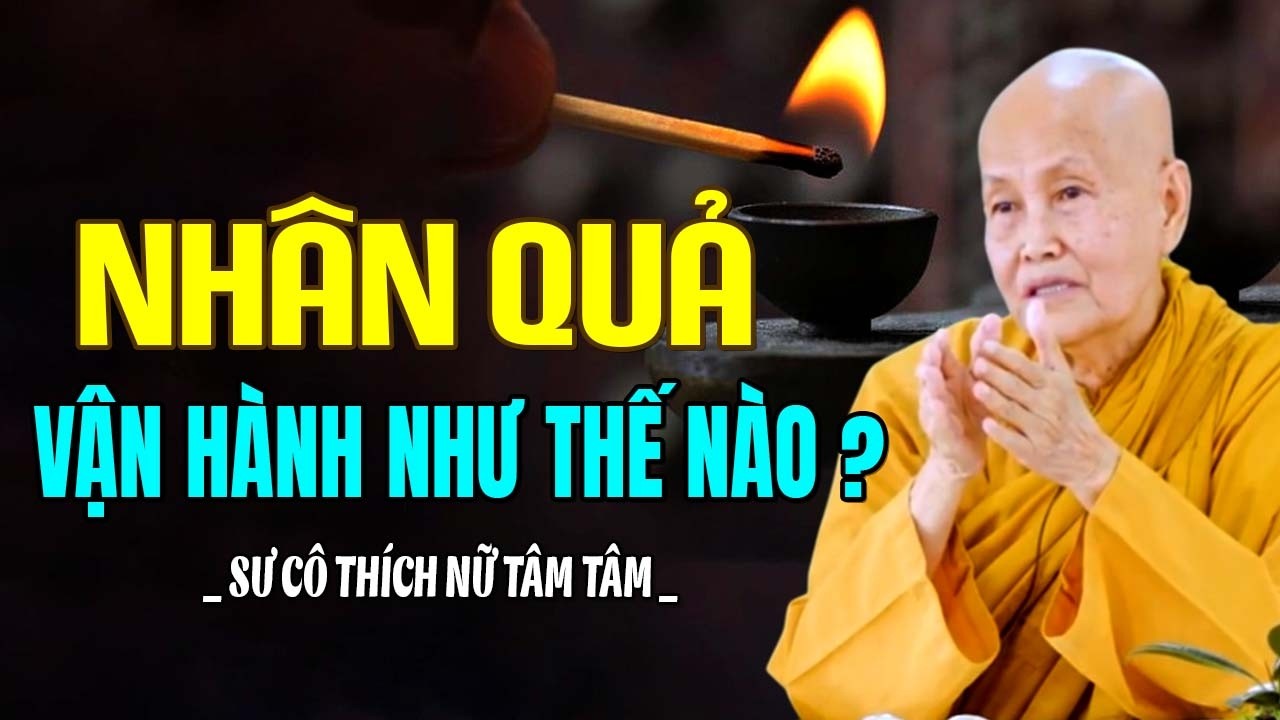 NHÂN QUẢ VẬN HÀNH NHƯ THẾ NÀO TRONG ĐỜI SỐNG | SC. Tâm Tâm