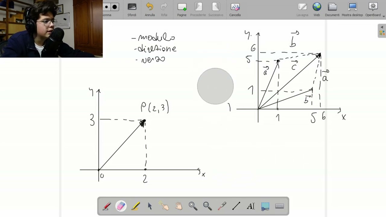 Vettori, somma e differenza di vettori, scomposizione in componenti - RIPETIZIONI DI FISICA Pt.1