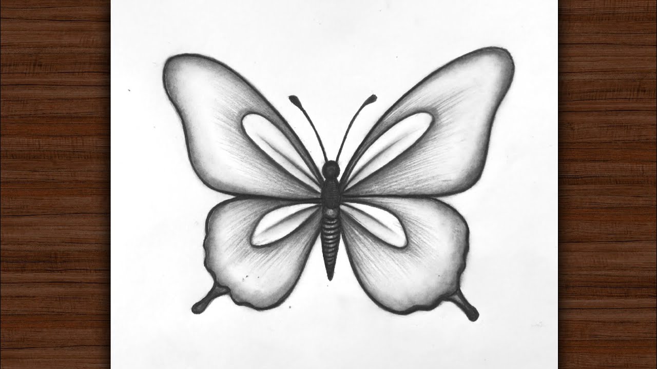 How to Draw a Beautiful Butterfly Step by Step | Easy Butterfly Drawing for Beginners