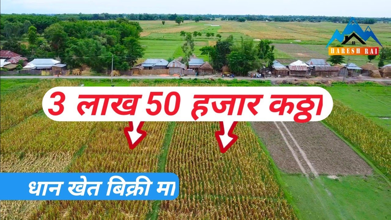East Nepal real estate# 3लाख 50 हजार कठ्ठा खेत बिक्री मा, दुहबी ,सुनसरी नेपाल