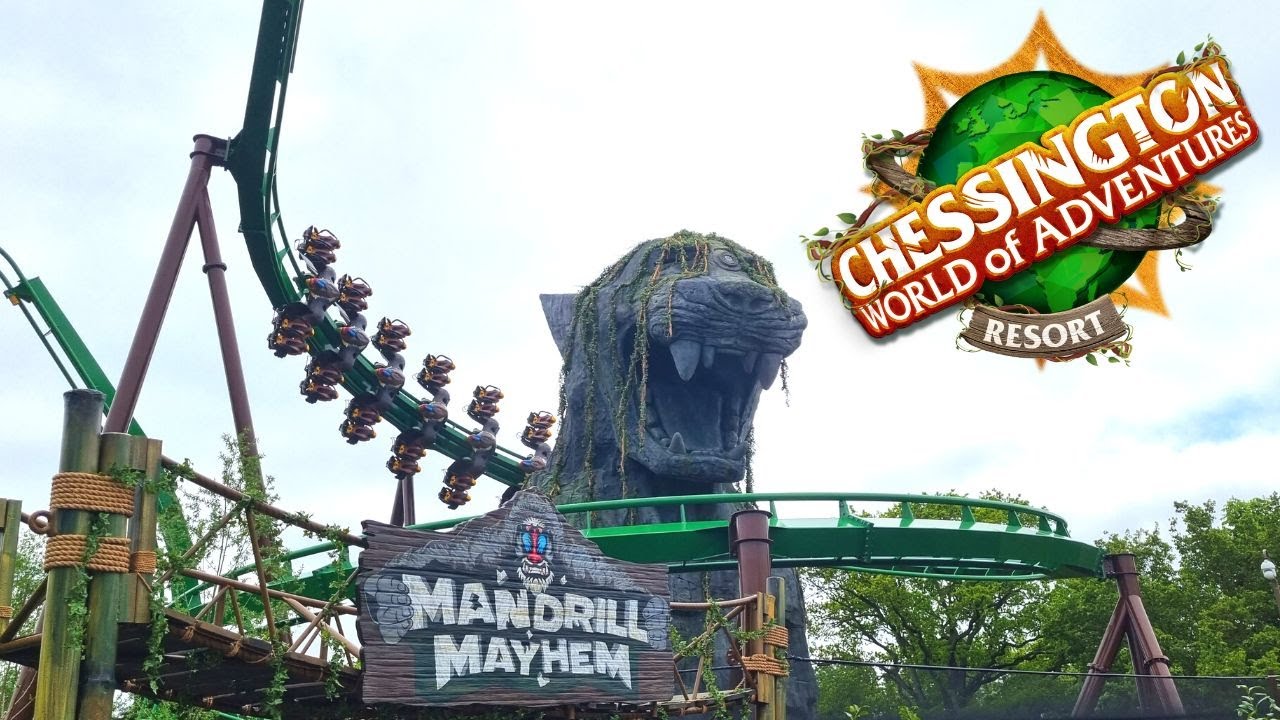 Mandrill Mayhem at Chessington