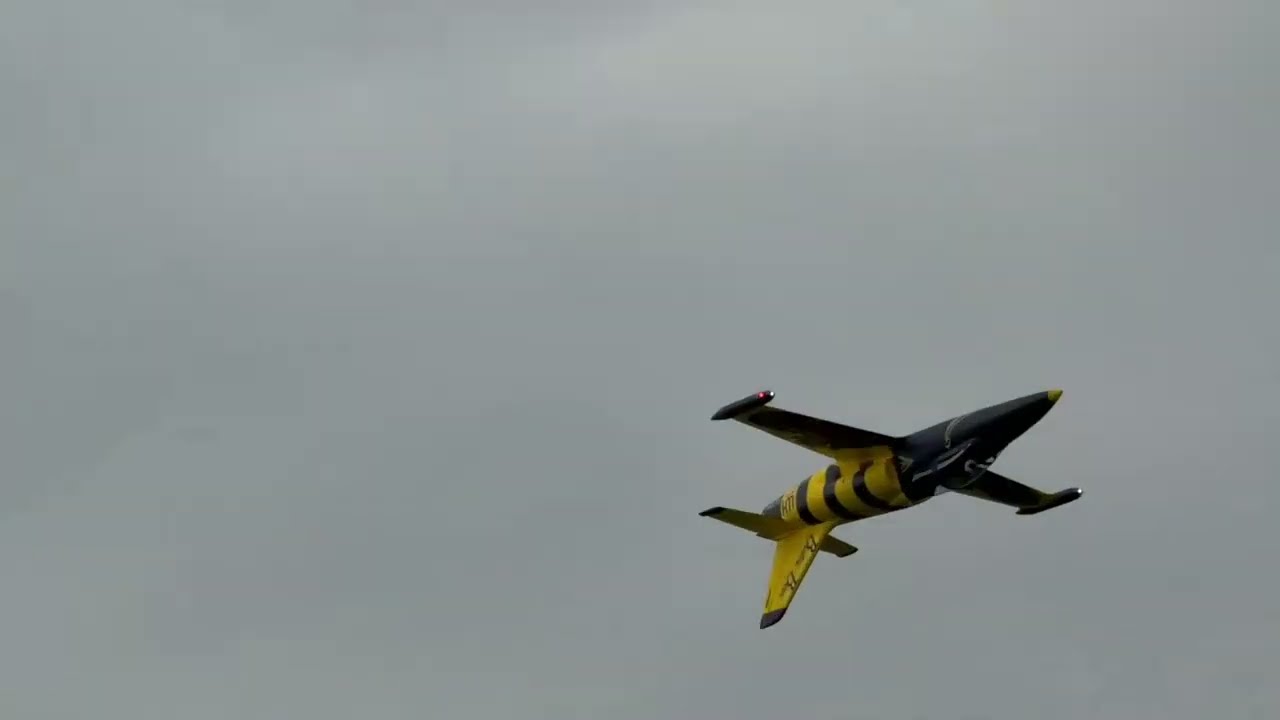 FlyFans L-39 Baltic Bees 64mm EDF (February 4, 2024)