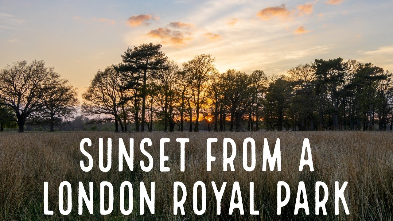 Sunset from a London Royal Park | Canon 90D + Tokina 11-16mm f2.8