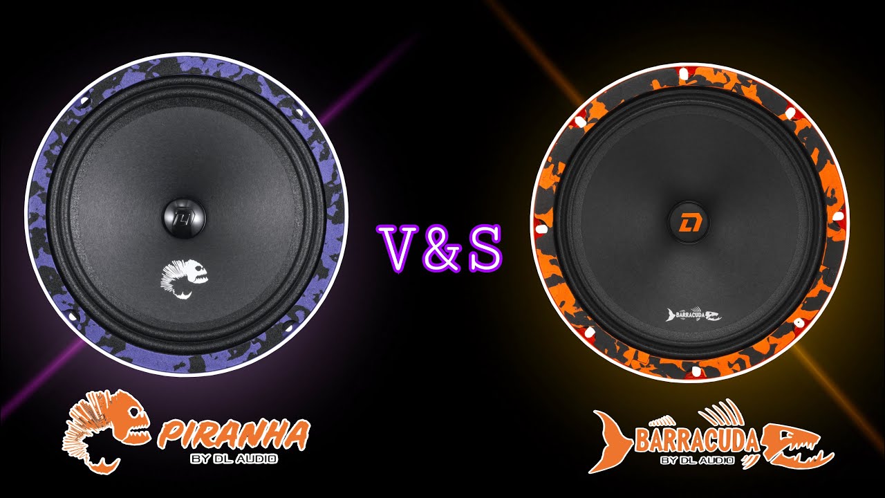DL Audio Piranha vs DL Audio Barracuda