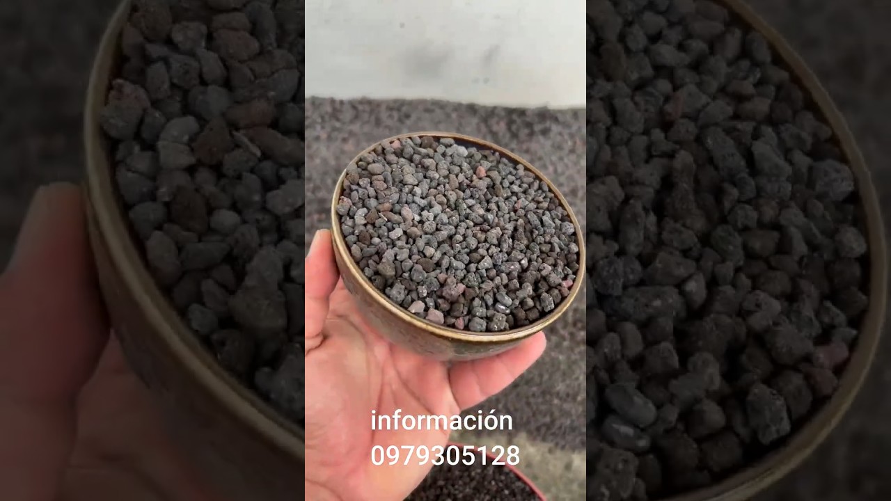 🌋 La grava volc&aacute;nica es uno de los sustratos para bons&aacute;i m&aacute;s populares  #bonsai #sustrato #volcan