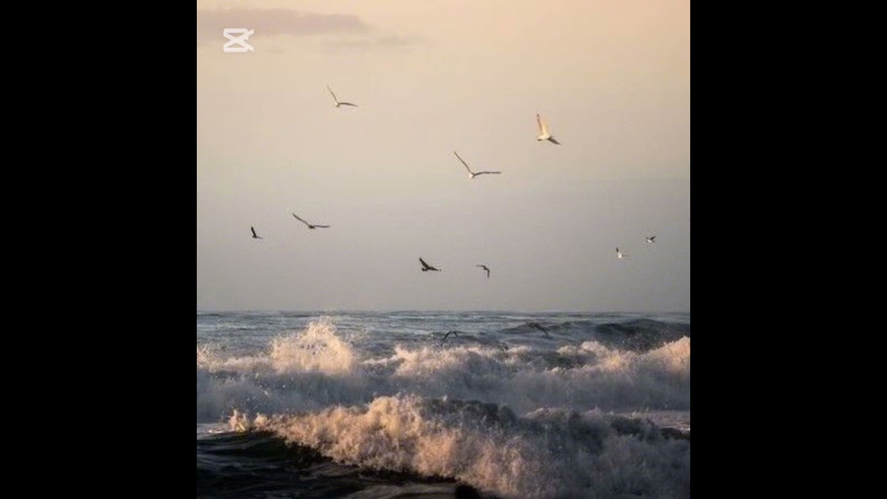 Amy Macdonald - This is the life (slowed+reverb)