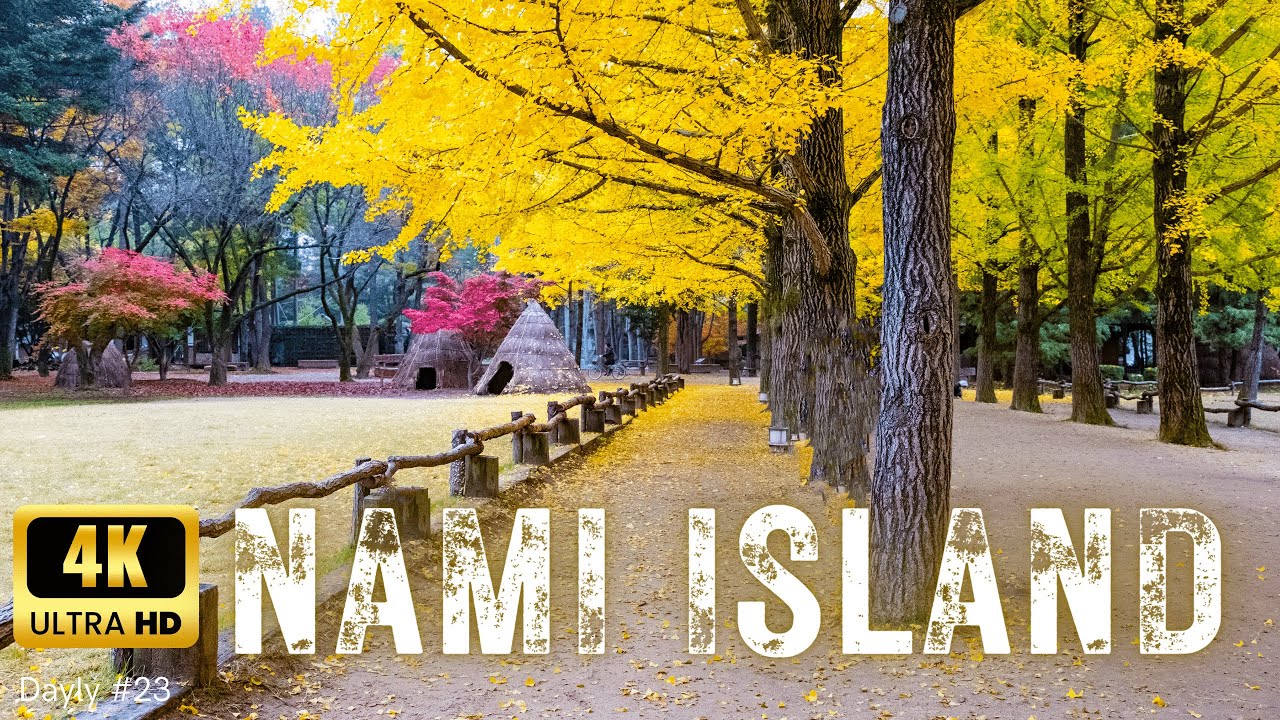NAMI Island 4K | The real 