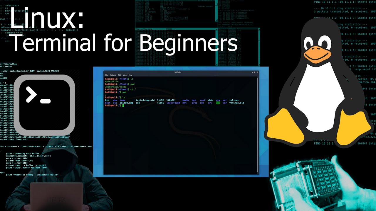 Терминал Kali Linux / Командная строка для начинающих (руководство)