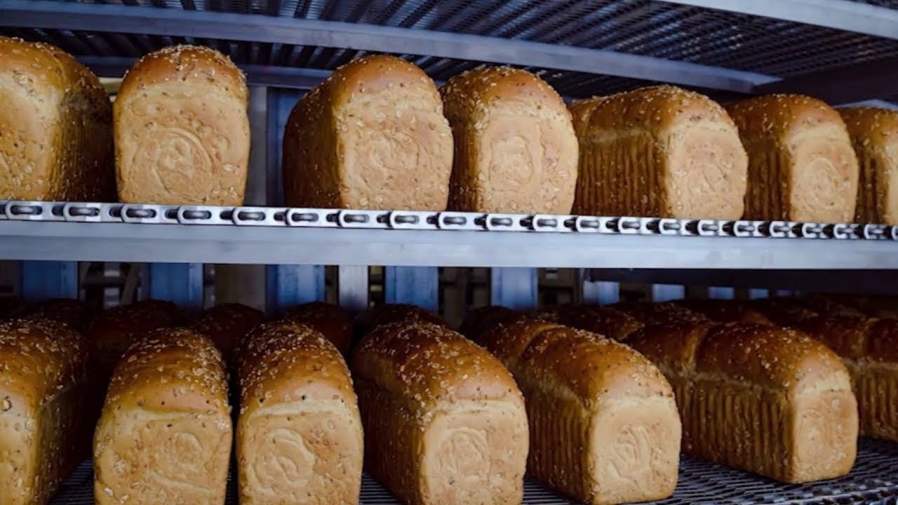 Automated Bakery Factory Production line 2019   Mr  Machine