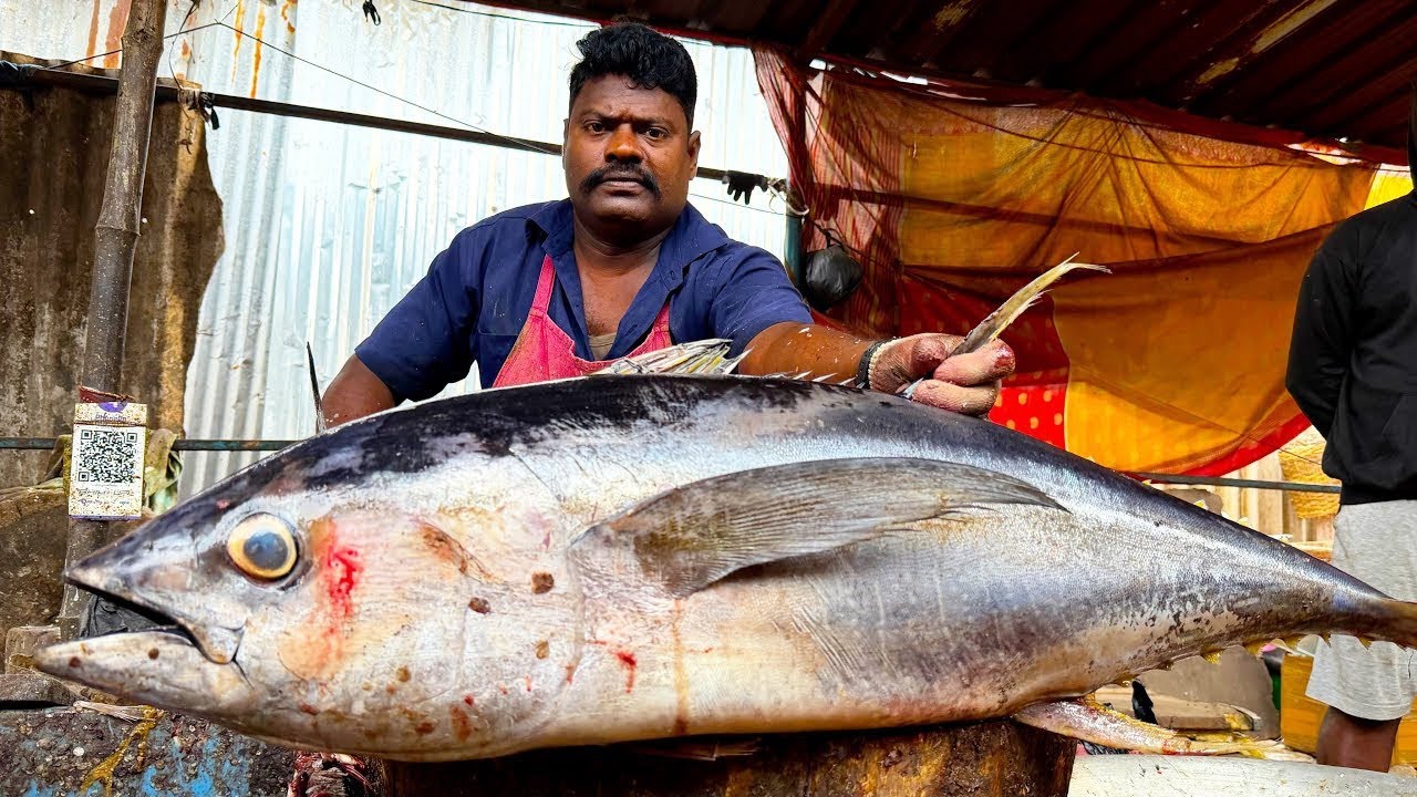 KASIMEDU SPEEDSELVAM😱🤯 TUNA 🍣😱🤯🔥 FISH CUTTING VIDEO | MSFISHCUTTINGZ 🇮🇳🔥