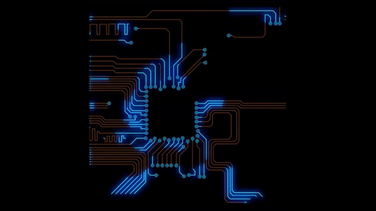 X-Ray - Zizibum