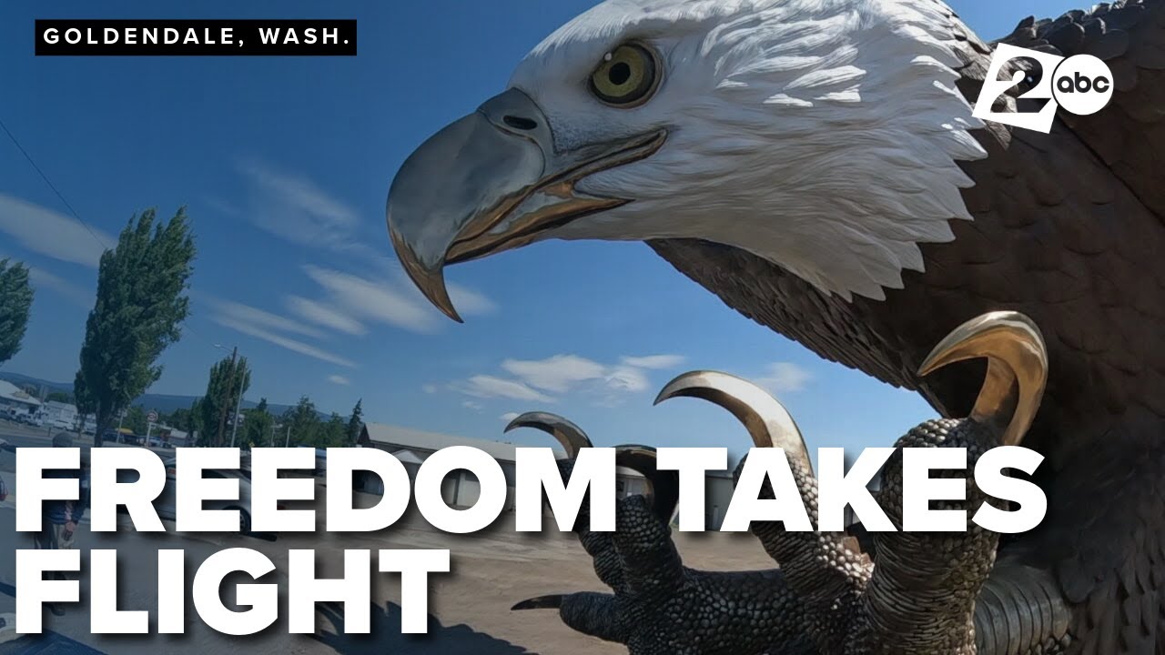 'Freedom,' the largest bronze eagle takes flight in the Columbia River Gorge