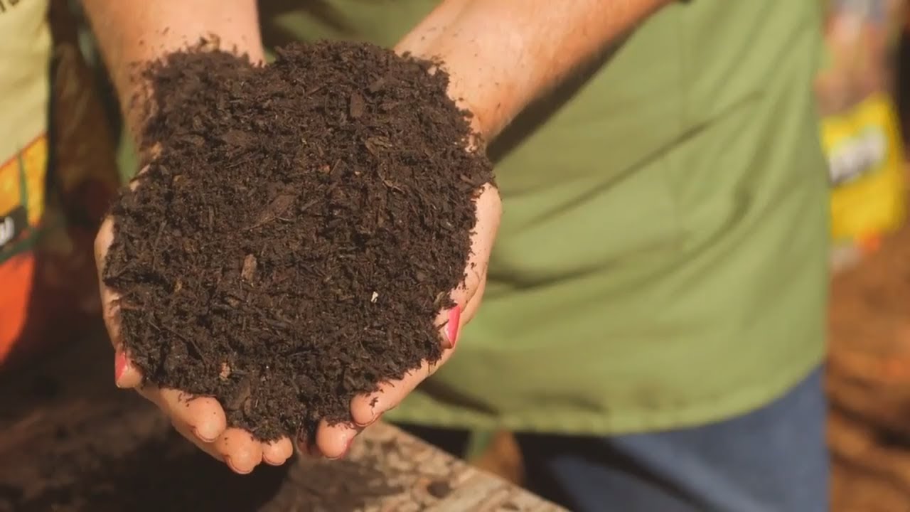 Two Multi-tasker Planting Mixes for the Landscape